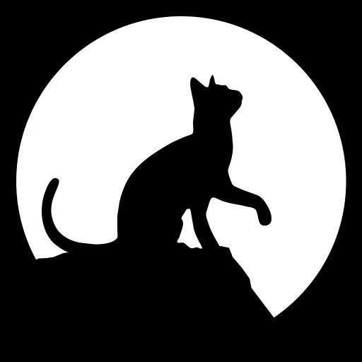 Logo de Nocture Games